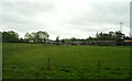 Grazing, Fordbank Stables