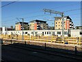 View from platform 8