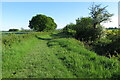 Bridleway towards Pirton