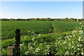 Footpath towards Woodmer End