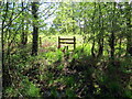 Llwybr ger Pont Aber / Path near Pont Aber