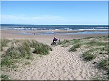 NO7463 : Path to the beach at St Cyrus Sands by Oliver Dixon