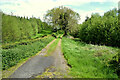 Lane to fields, Freughmore