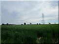 Wheat field and pylon near The Toft