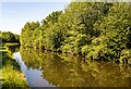 Bridgewater Canal