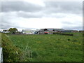 Grazing towards Holm Farm