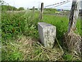 Milestone - Barglachan and Catrine