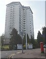 Flats on Glen Brae, Falkirk