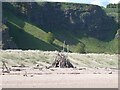 NO7463 : Driftwood on St Cyrus beach by Oliver Dixon