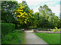 SE2928 : Laburnum in a corner of the Rose Garden, Middleton Park by Humphrey Bolton