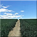 Bridleway heading ESE - SW of Hayland Farm