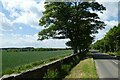 Wall along Thorner Road