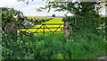 Field gateway on SE side of Cliff Road