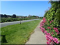 The far south-eastern corner of Seaford