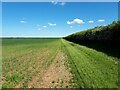 Edge of field near Lew