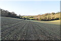 Footpath crossing field