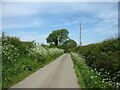 A country lane leading to Brynsiencyn