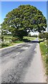 Rural road heading northeast towards A6071 near Cliff Bridge