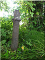 Milestone near Saron Cottages