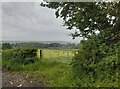 Gated field near Westholme