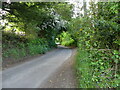 Natural Arch over The Hill a minor Rural road