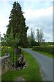 Channelled stream in Netherby