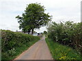 Heol ger Dafadfa-isaf / Road near Dafadfa-isaf