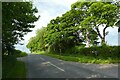 Kirkby Lane by Paddock House Lane