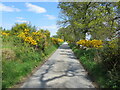 Minor road near to Bredaig