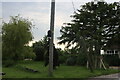 Garden on East Road, East Mersea