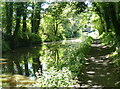 Towpath along the Worcester and Birmingham Canal