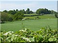 View to Aldenham Park