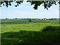 Farmland near Haughton