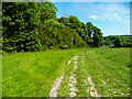 Footpath around the perimeter of Worsbrough Country Park