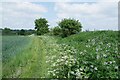 Footpath 94_10 to Suffolk