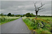 H5170 : Dryarch Road, Deroran by Kenneth  Allen