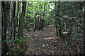 Footpath, Milldown Wood