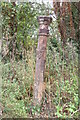 Direction Sign ? Signpost on the A4130 Henley Road in Hurley