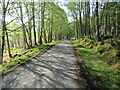 NH3133 : Glen Cannich - Minor road near to Carbennan by Peter Wood