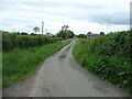 Minor road near Brynsiencyn