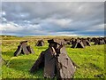 Drying Peats at Strathy