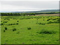NS9461 : Rushy pasture at Stonehead by M J Richardson