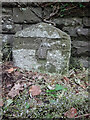 Milestone, A40, Cantref