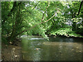 The River Ogmore at Craig-y-Parcau Local Nature Reserve