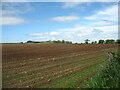 SH3572 : Field below Rhosbadrig Farm by David Purchase