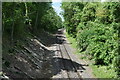 Railway cutting at North Burcombe