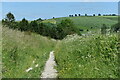 Path south of Great Wishford