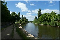 SE5952 : Upstream along the Ouse by DS Pugh