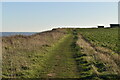 TG3731 : Norfolk Coast Path by N Chadwick