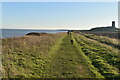 TG3731 : England Coast Path by N Chadwick